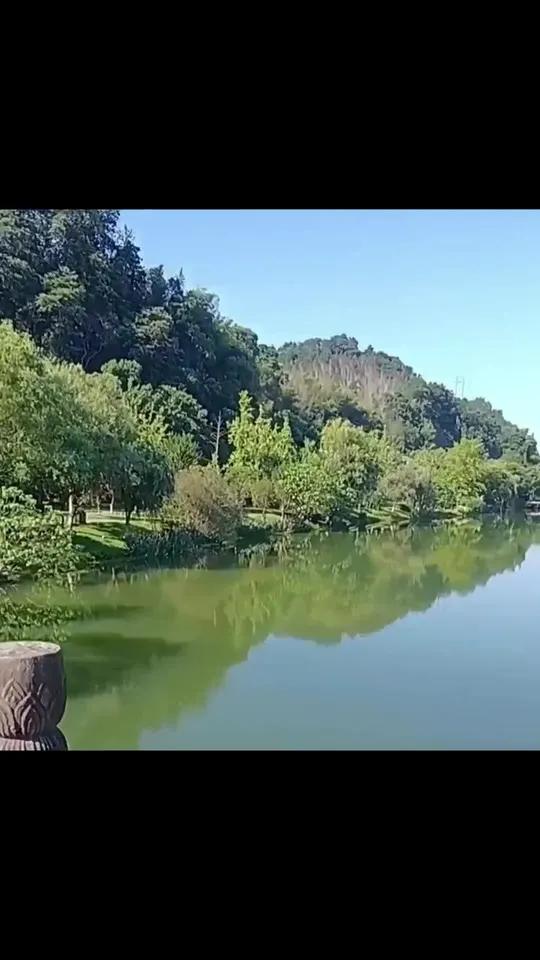 仅298元即可入住桃花源景区,原价660元!「周日 - 周四」住宿套票,住三天,畅玩景区,