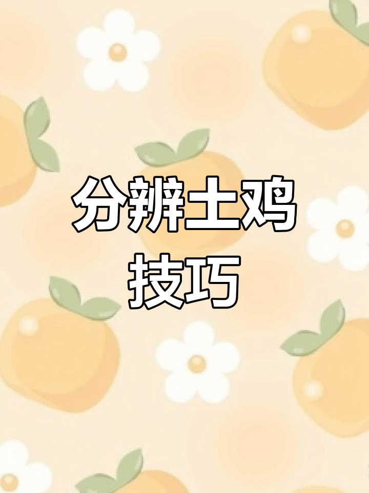 如何辨别土鸡与白条鸡