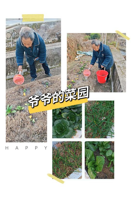 用方言记录80后爷爷的菜园子真实农村生活