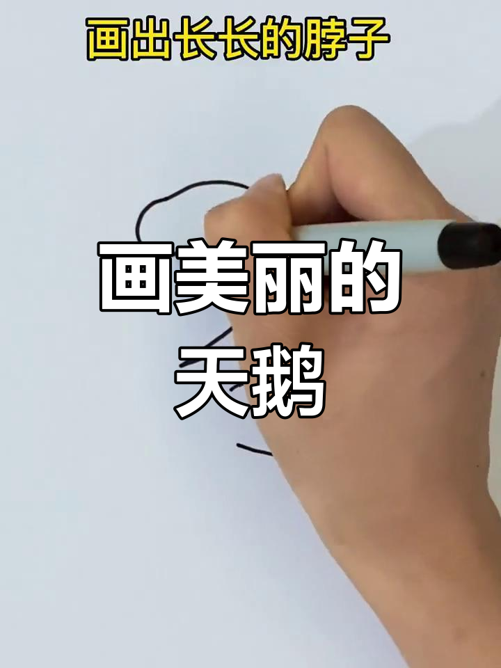 简单几步画出白天鹅