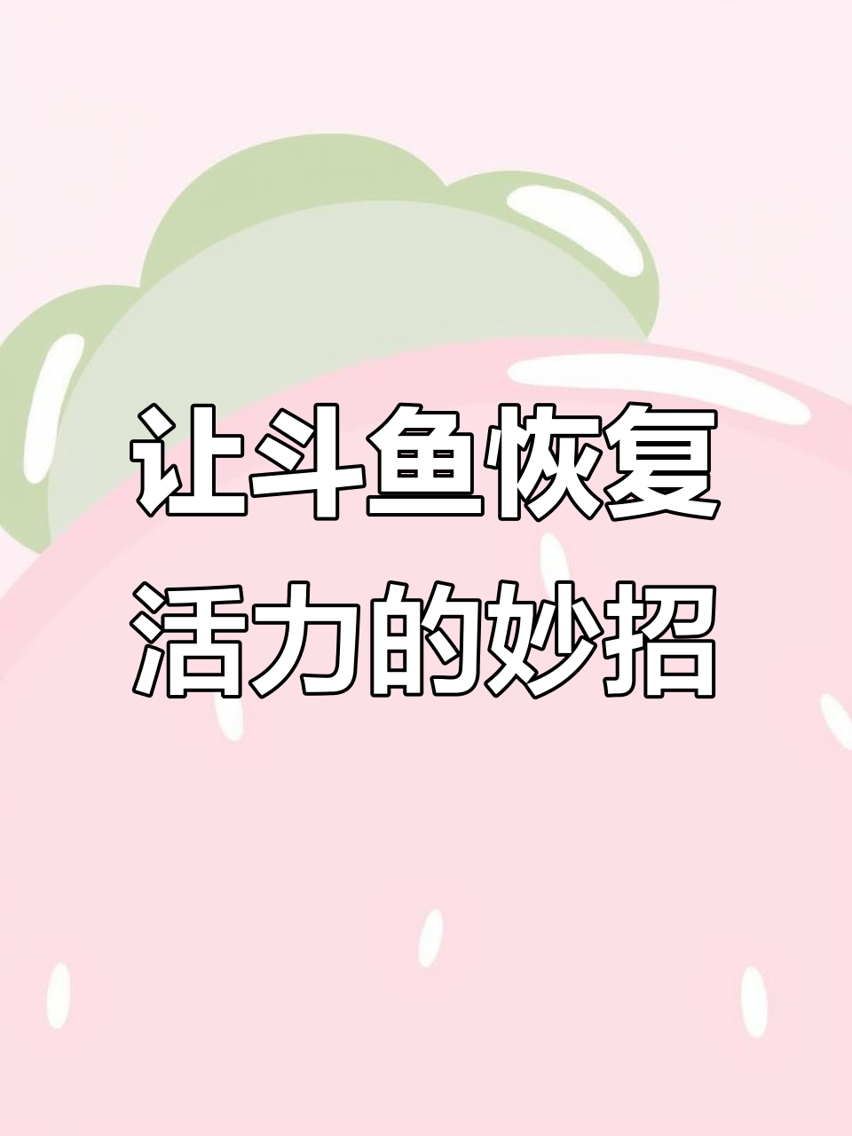 斗鱼如何焕发活力?镜子刺激让它炸毛!