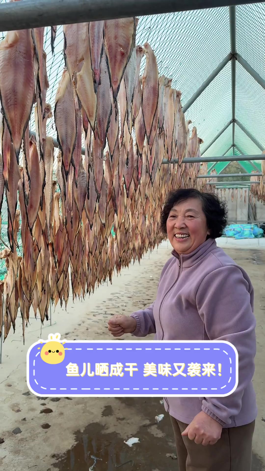 鱼儿晒成干,美味又袭来!