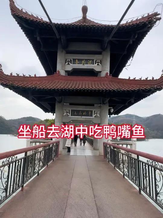 匙吻鲟俗称“鸭嘴鱼”，其肉质鲜美、无刺，富含胶原蛋白，营养丰富，清蒸、红烧都非常好吃