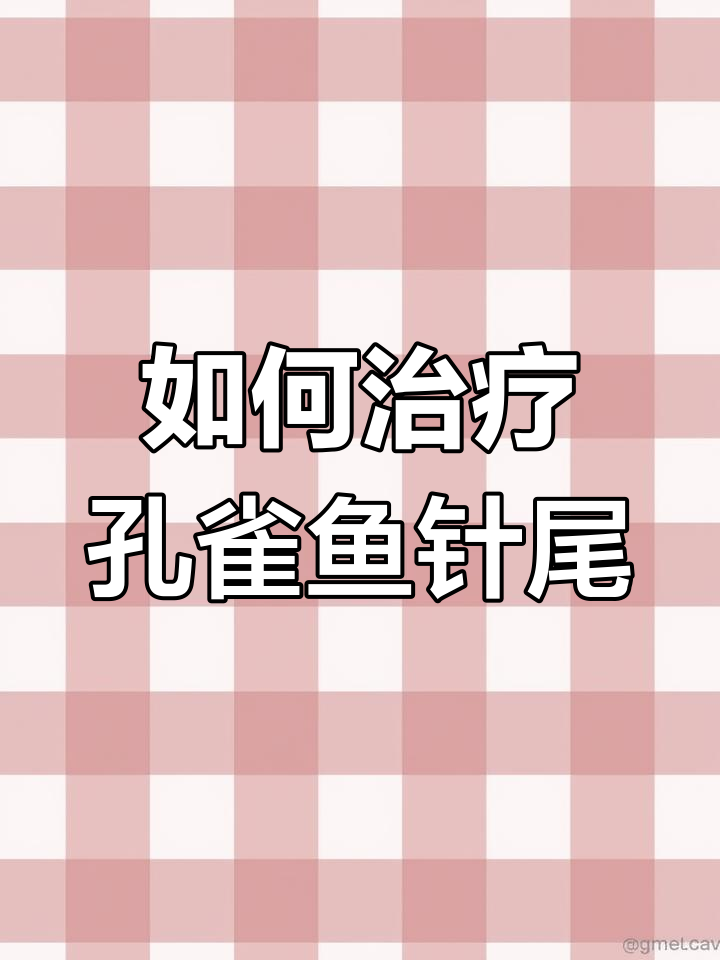 孔雀鱼苗针尾病的治疗方法