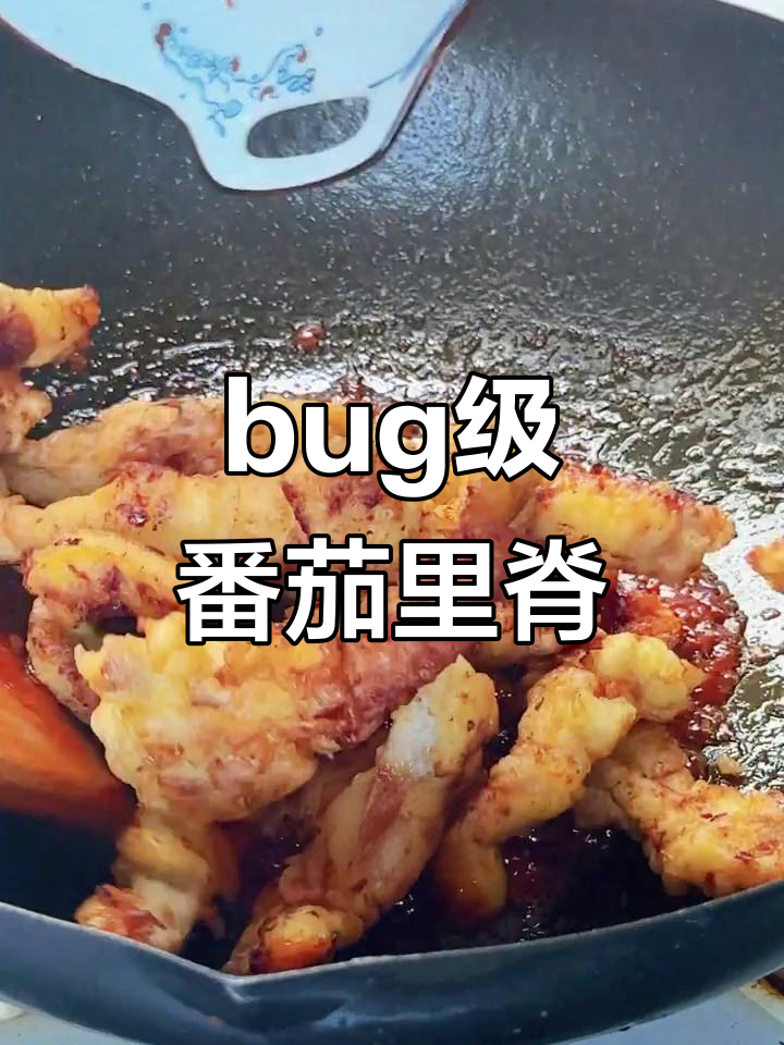 番茄酱+里脊，轻松做出bug级美味！