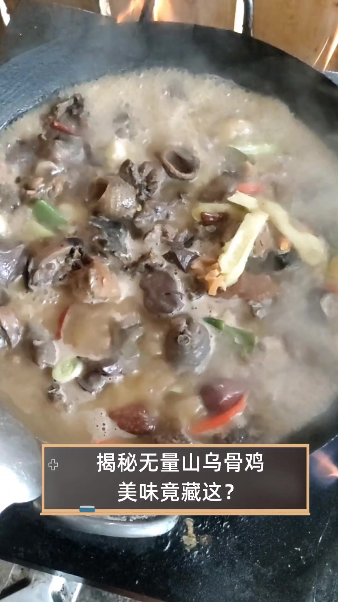 揭秘无量山乌骨鸡,美味竟藏这?