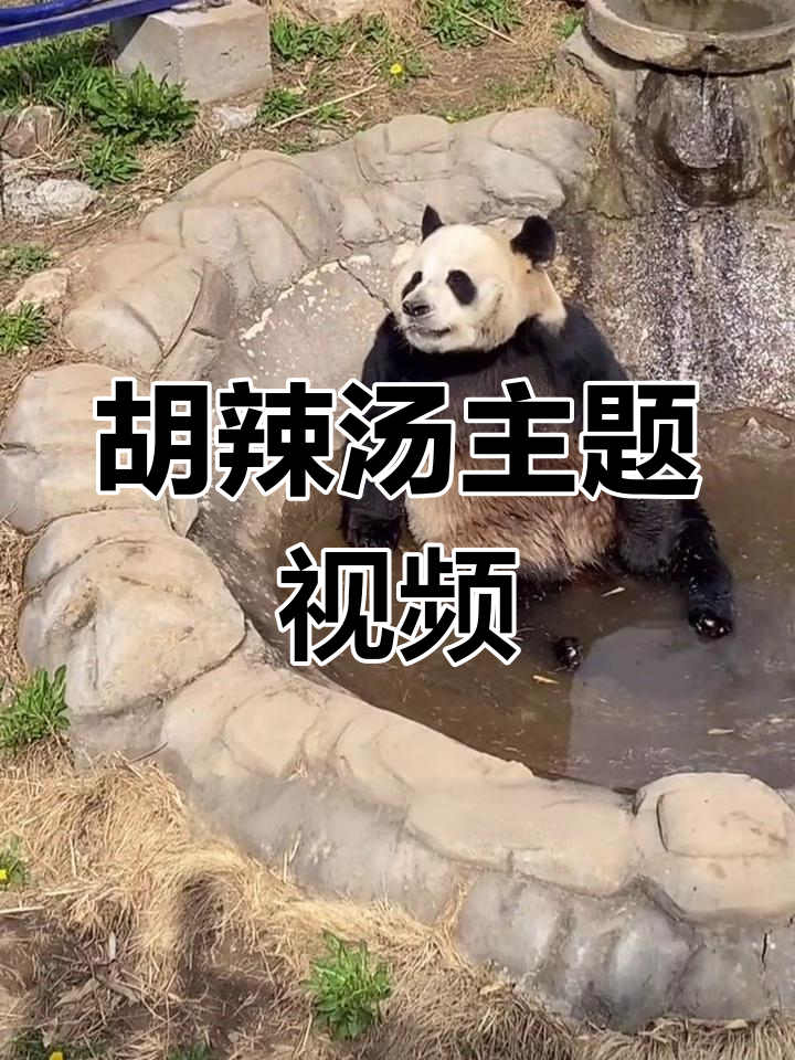 洗澡水变胡辣汤?灵岩与迈迈的创意城市联名!