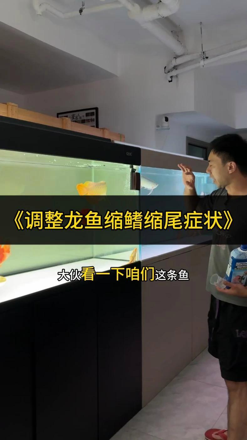 从入缸到繁殖,全程PH管理锁定极致发色 针对不同生长阶段设计用量方案,幼鱼期PH6.8温和