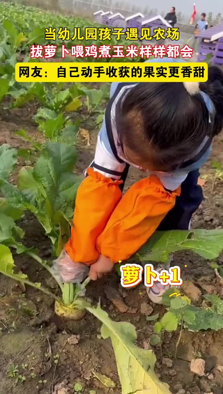 当幼儿园孩子走进农场,拔萝卜喂鸡煮玉米样样都会。网友:自己动手收获的果实更香甜