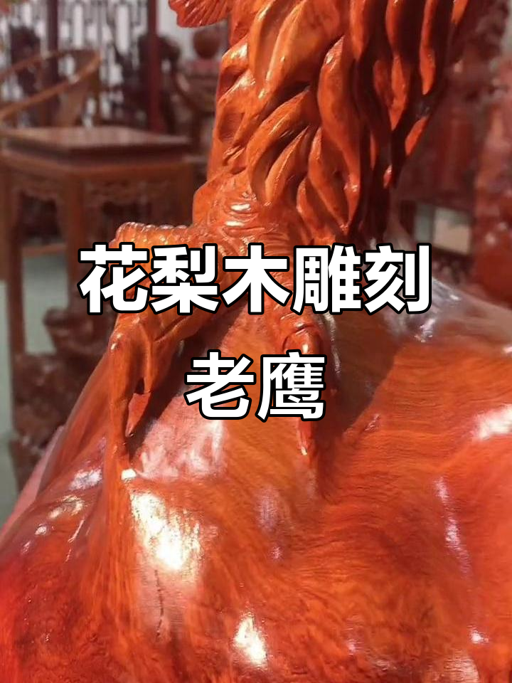 缅甸花梨木大果紫檀根雕老鹰,展翅欲飞的艺术品