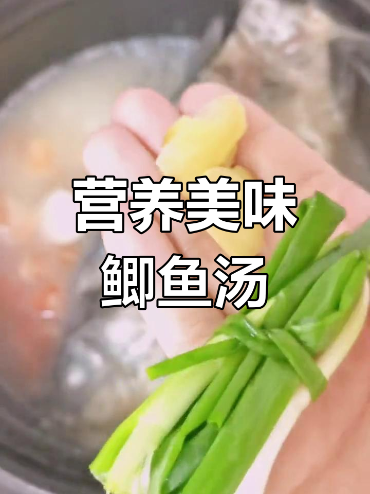 奶白鲫鱼汤,鲜美滋补,孩子最爱!
