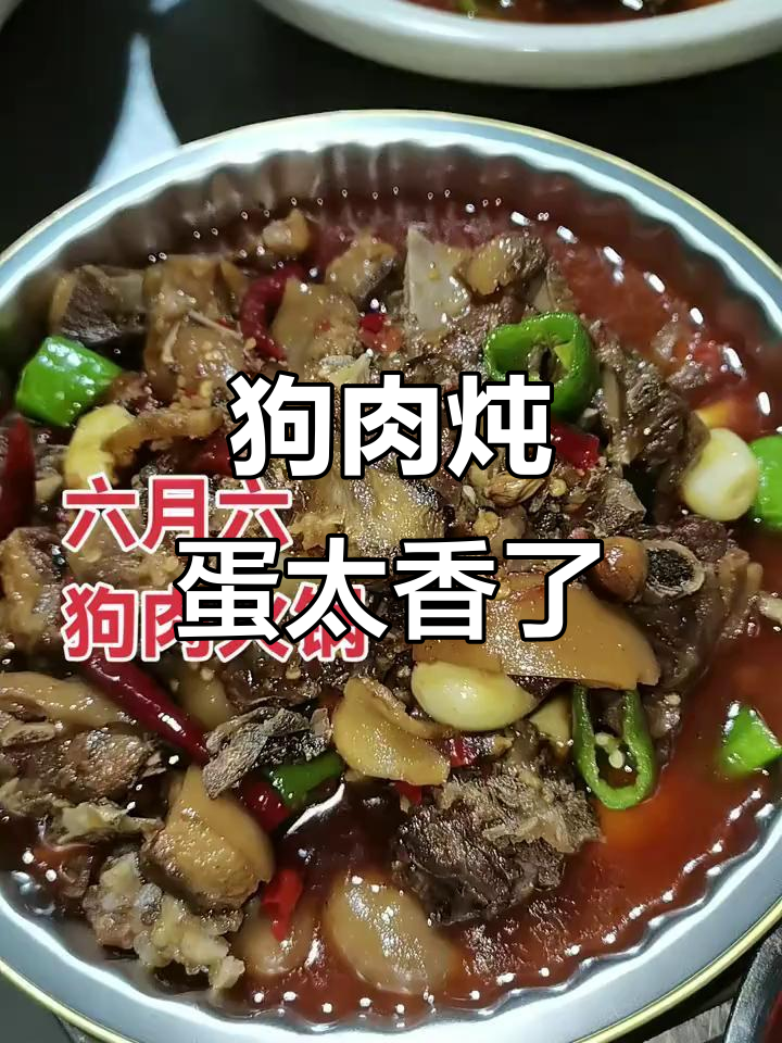六月六狗肉炖蛋,香气扑鼻让人停不下来!