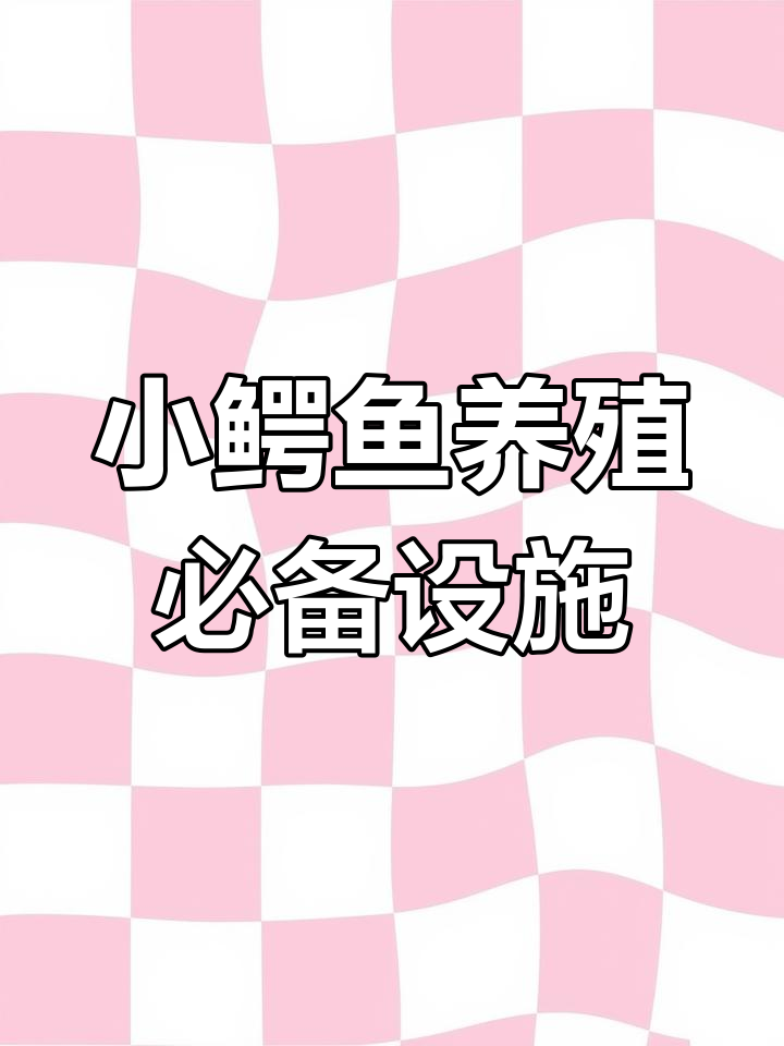 小鳄鱼养殖全攻略:过滤、水泵和晒台设置技巧