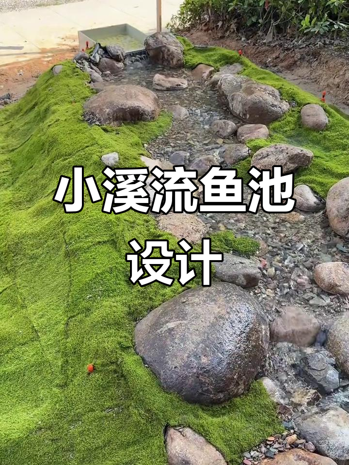 温州平阳小溪流鱼池,仿生态设计打造自然景观