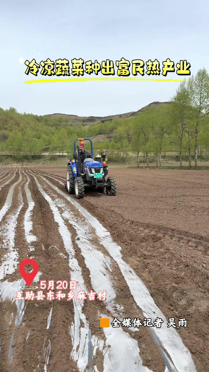 冷凉蔬菜种出富民热产业 互助县 东和乡