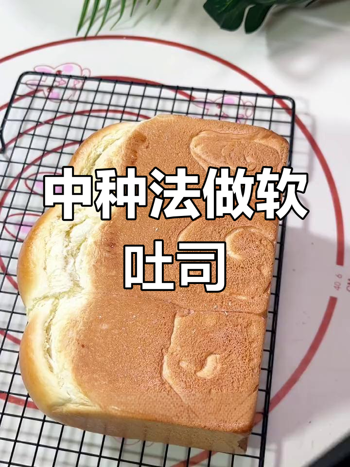 用中种法做吐司,轻松做出柔软又好吃的面包