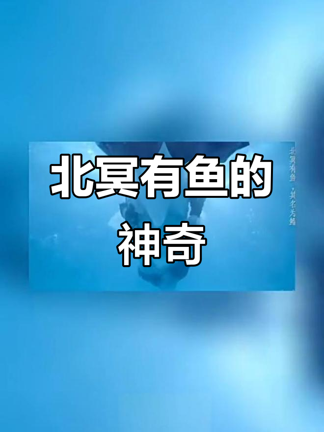 小学生必背小古文:北冥有鱼,鲲鹏展翅飞千里