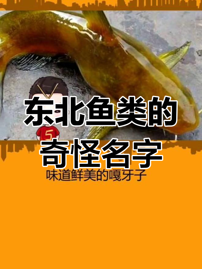 东北独特鱼类名称解析
