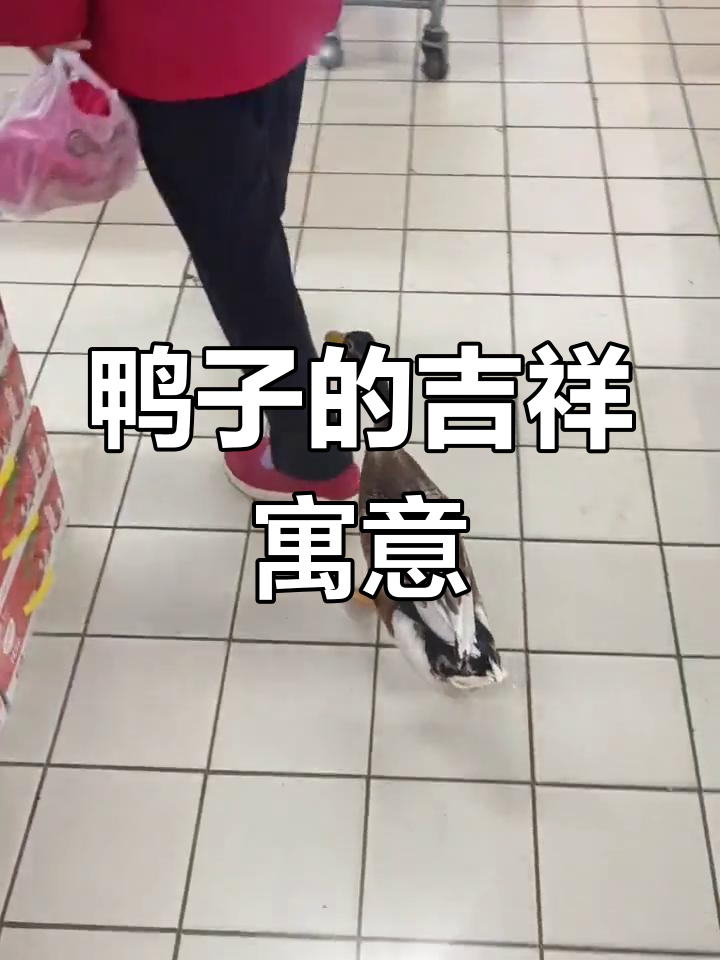 鸭子紧随主人,象征丰收与财运,萌态十足,寓意满满