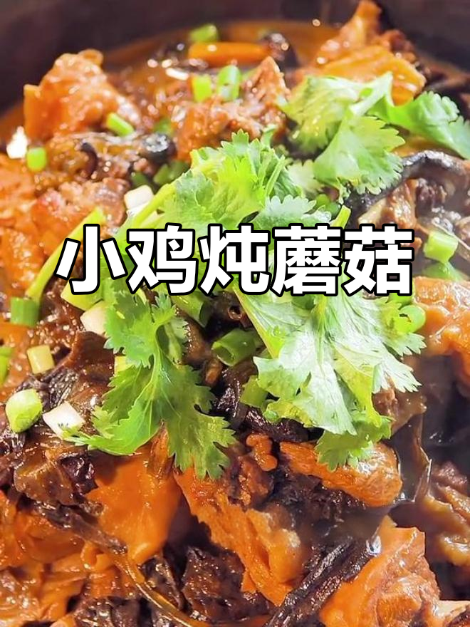 东北经典小鸡炖蘑菇,香浓汤底搭配粉条