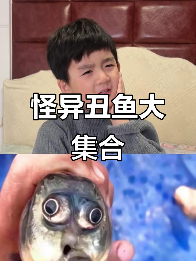 这些奇奇怪怪的鱼,丑得让人笑出声!