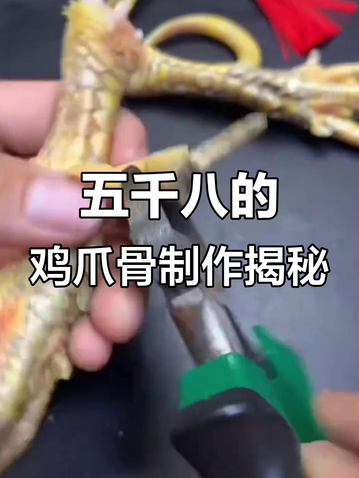 老板花五千八买大公鸡爪,竟是为了做这个!