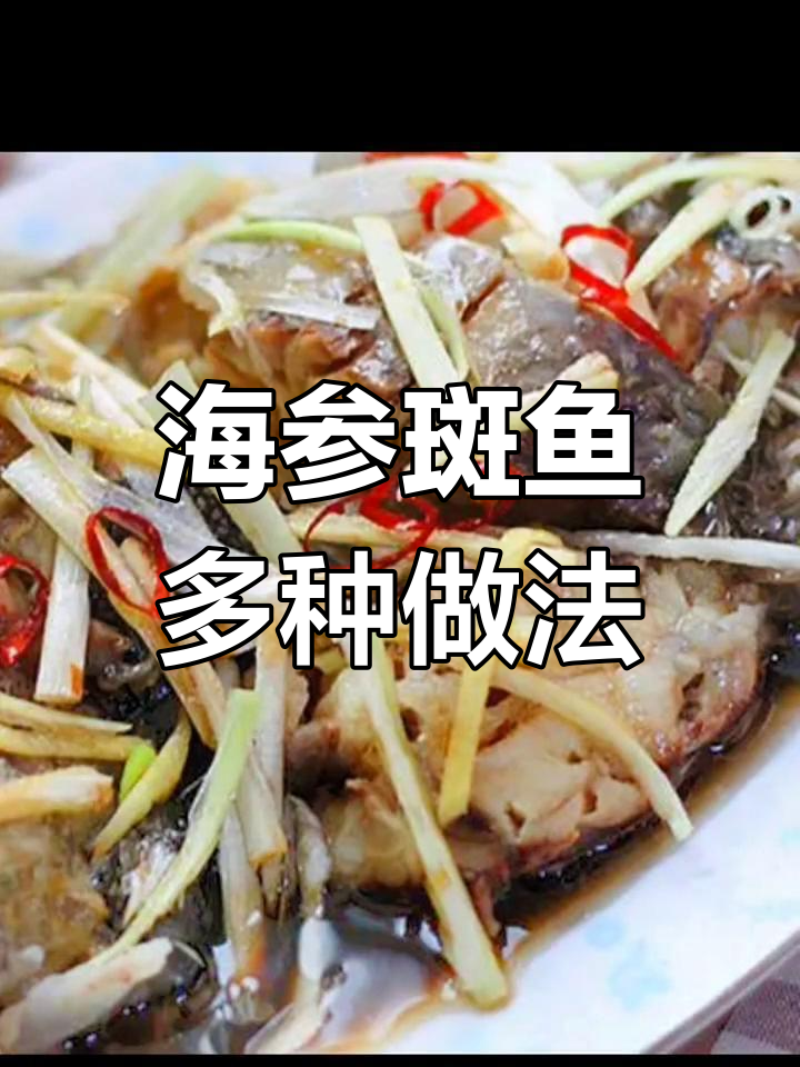 野生海参斑鱼到货,清蒸红烧汤多种做法任你选