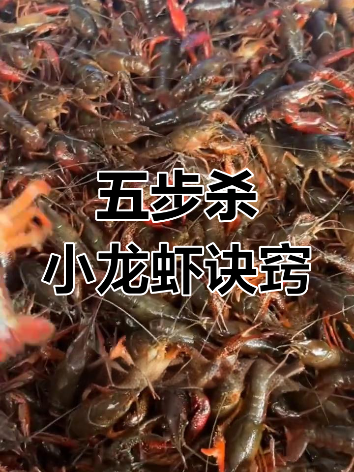小龙虾养殖五步杀与三必杀技巧,避免常见问题
