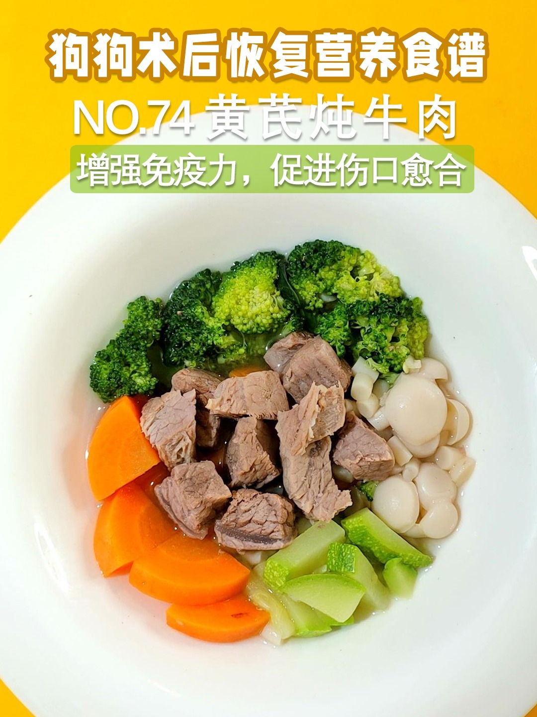 NO.74狗狗手术后营养食谱黄芪炖牛肉