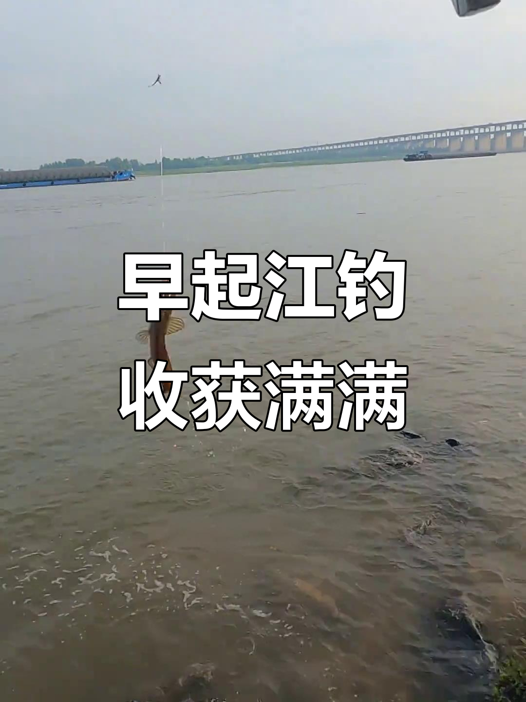 清晨江边钓鱼,第一竿就中鱼!休闲时光乐趣多