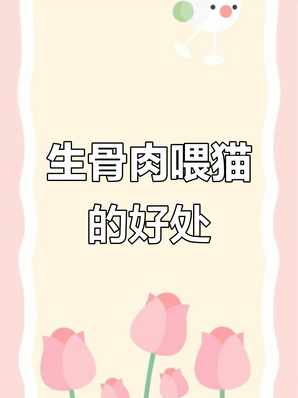 从生骨肉喂养开始,猫咪健康又美丽