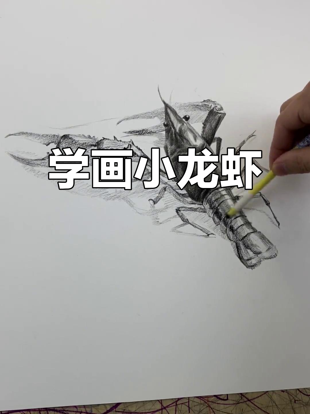 素描小龙虾，零基础也能轻松上手