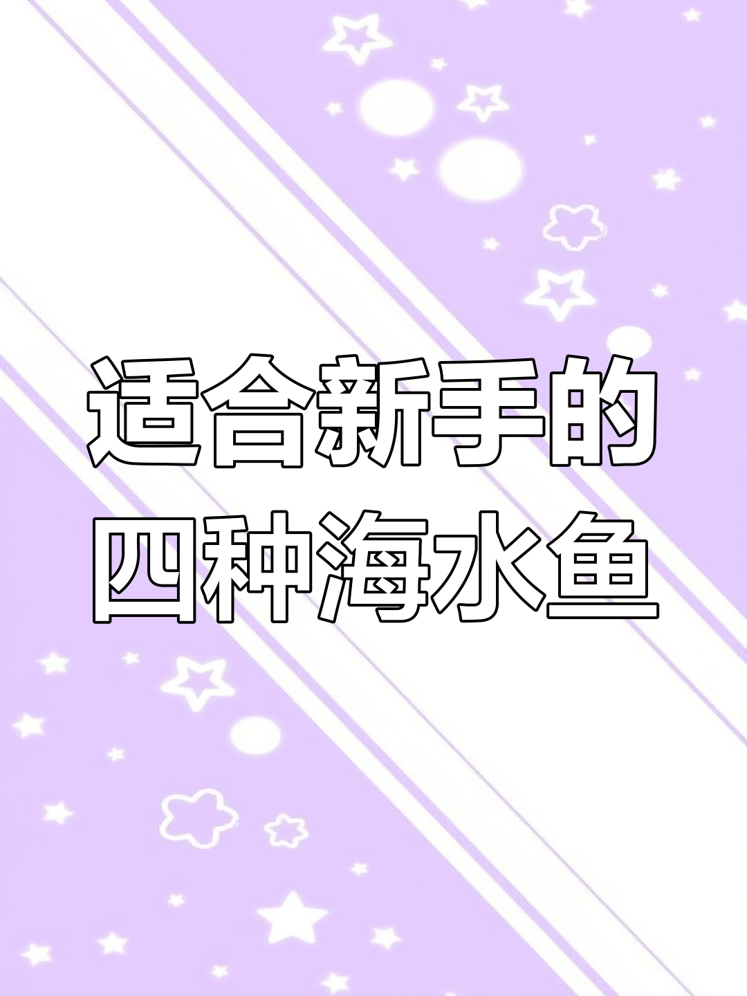 新手养海缸鱼,这四种最容易饲养