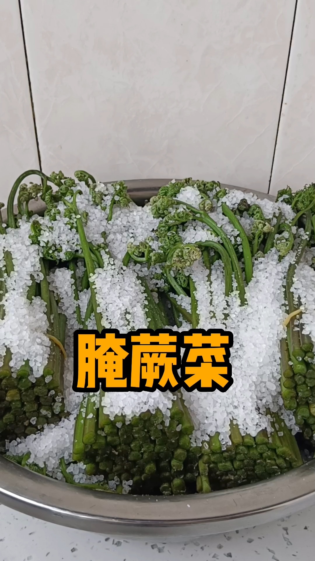 山野菜之王,腌蕨菜