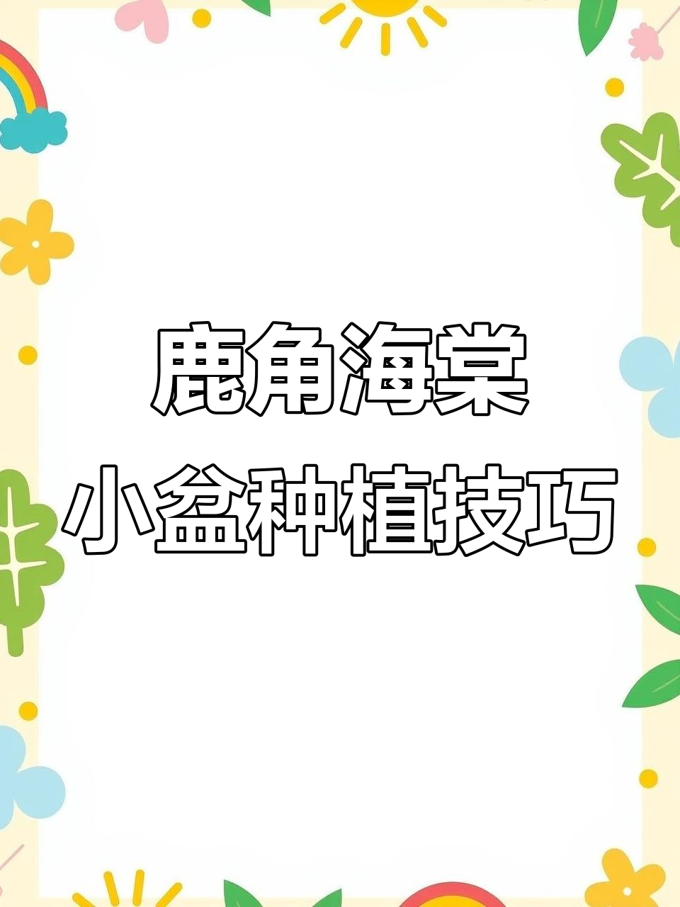如何将鹿角海棠种进小盆,打造独特多肉盆景