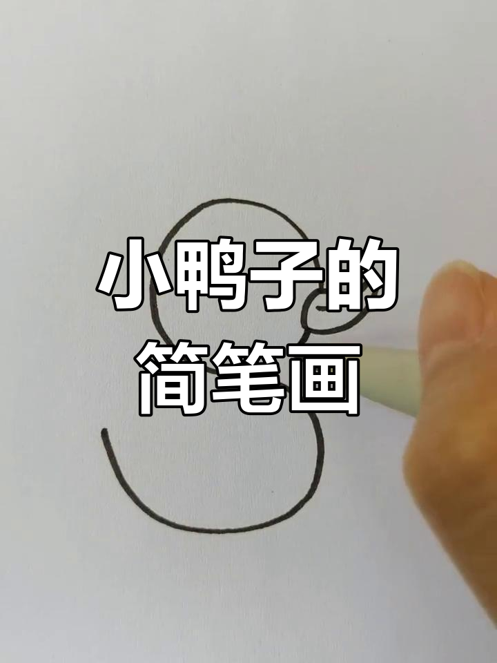 用S画小鸭子,简单又可爱