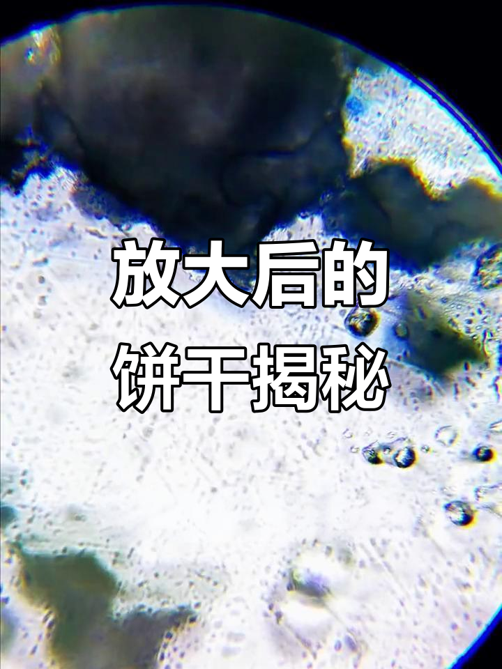 显微镜下看饼干,原来高热量零食是这样!