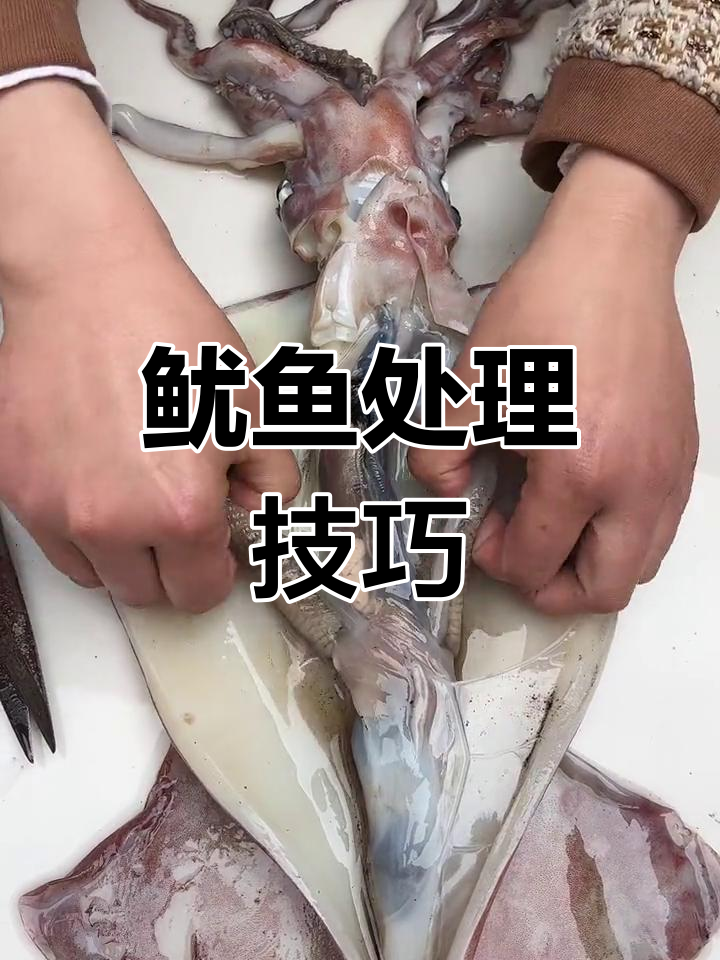 鱿鱼清理大揭秘:哪些部位能吃,哪些不能