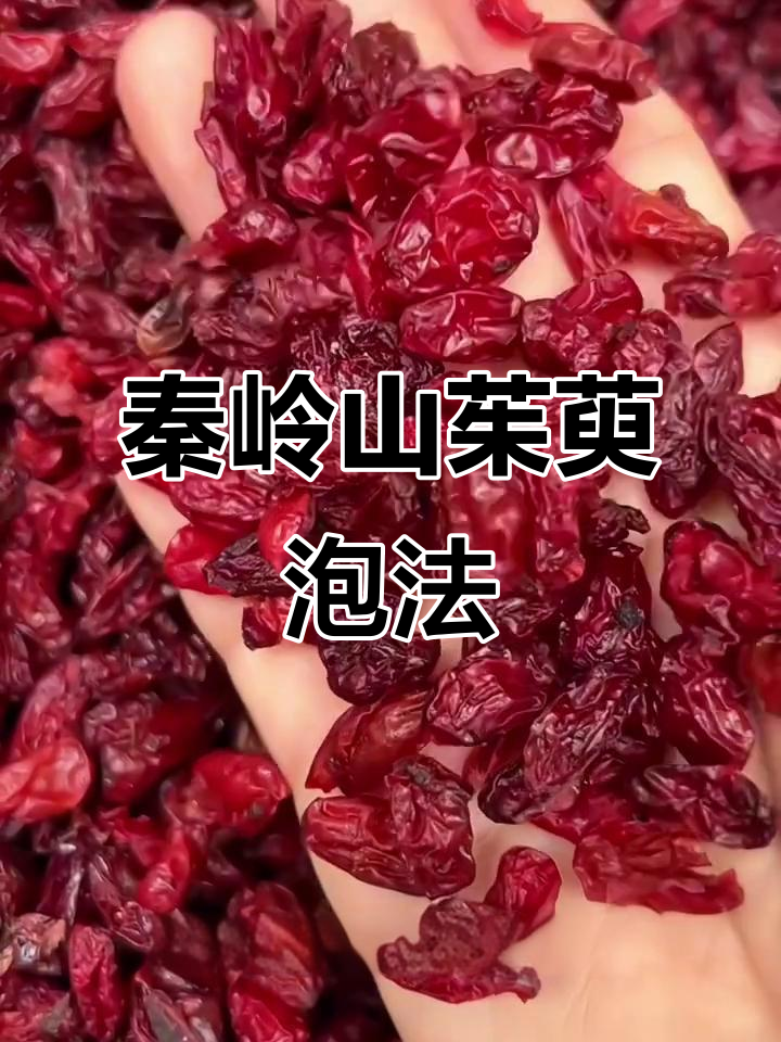 山茱萸泡水喝,秦岭野生山萸肉的功效与鉴别方法