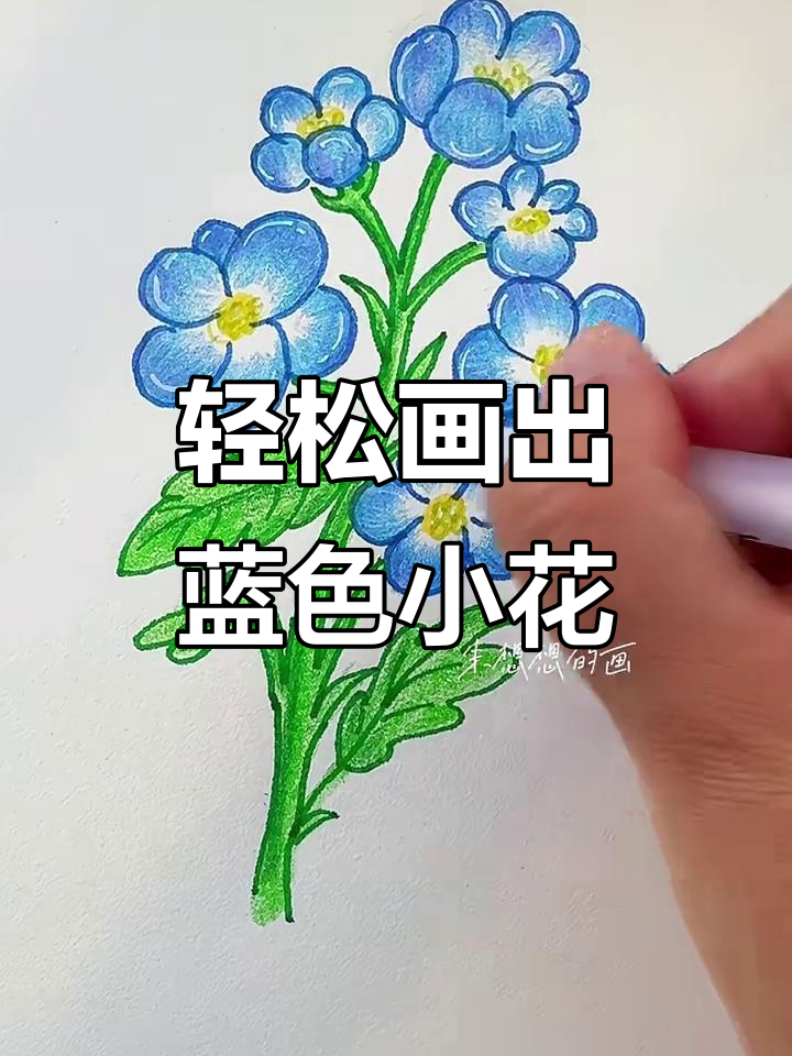 用圈圈画花朵,简单又有趣!掌握蓝色小花花技巧