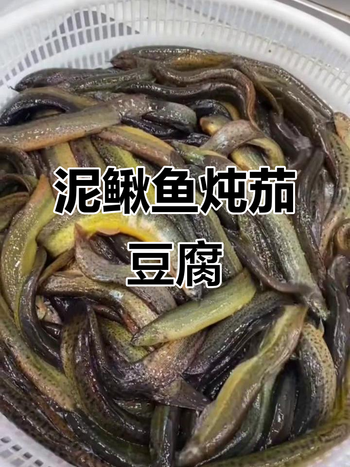 泥鳅鱼炖豆腐茄子,酱焖美味不容错过