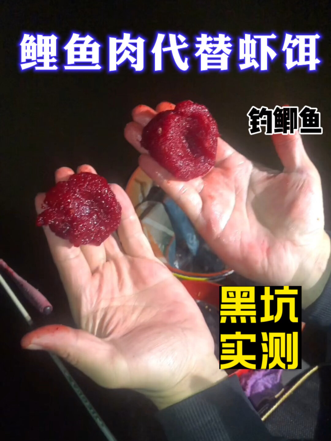 黑坑实测鲤鱼肉代替虾饵钓鲫鱼