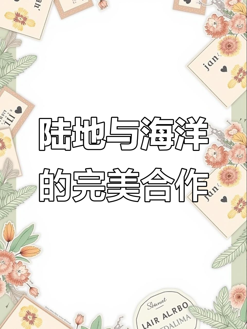 花豹骑海豚，金鸡独立惊艳全场！海滩动物运动会太刺激
