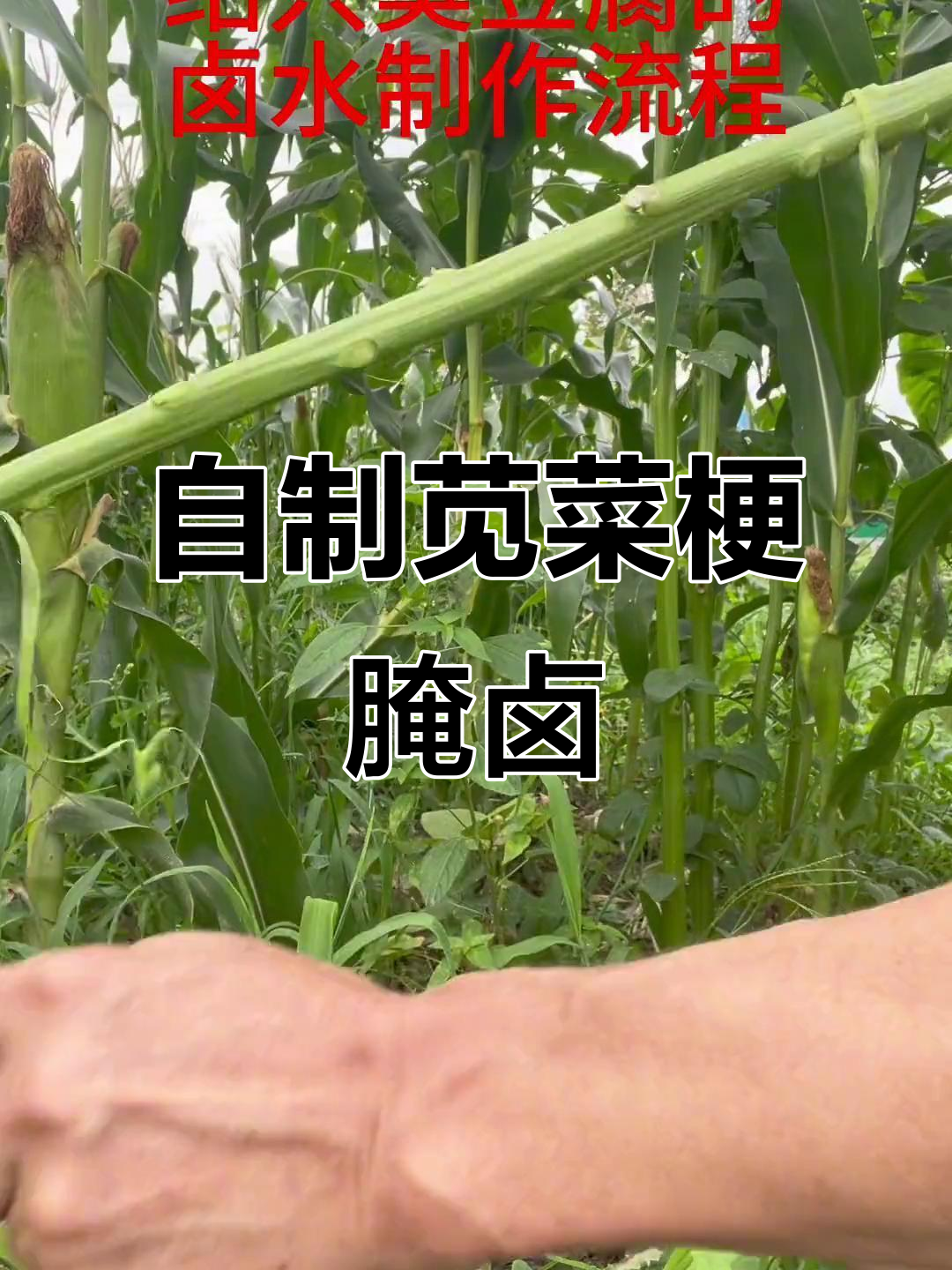 绍兴六枚之一：苋菜梗发酵秘制卤水，臭豆腐的秘密武器