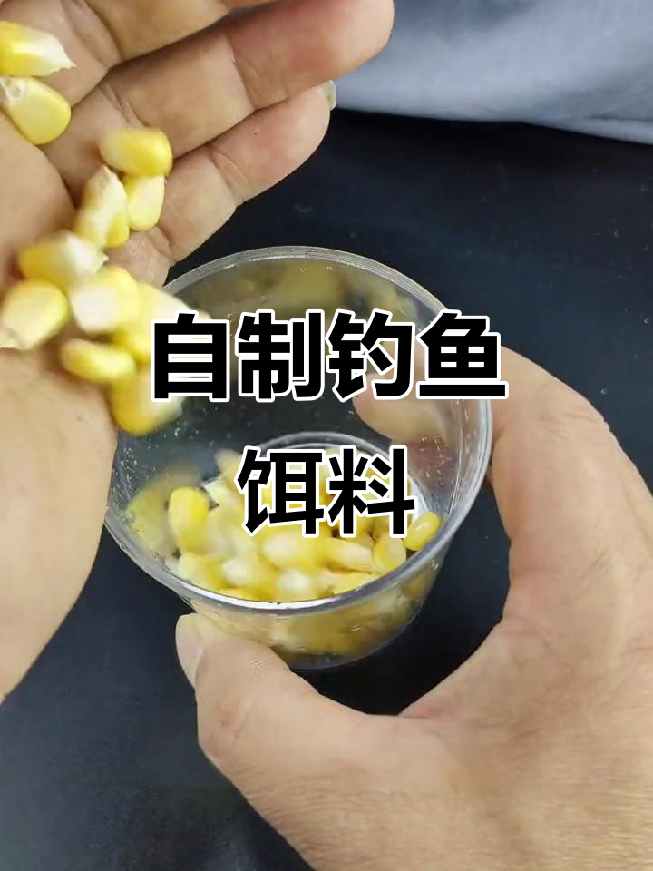 玉米味精自制钓鳊鱼鲤鱼饵料,轻松诱捕翘嘴草鱼