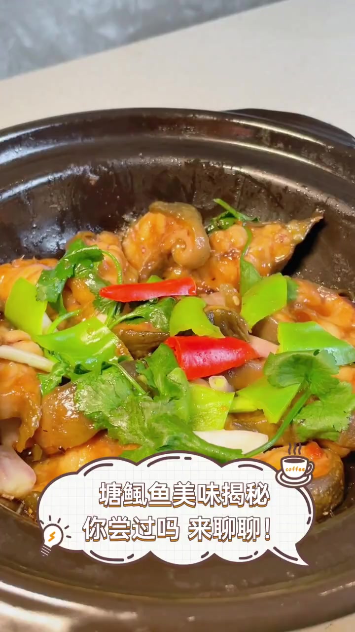 塘鲺鱼美味揭秘,你尝过吗,来聊聊!