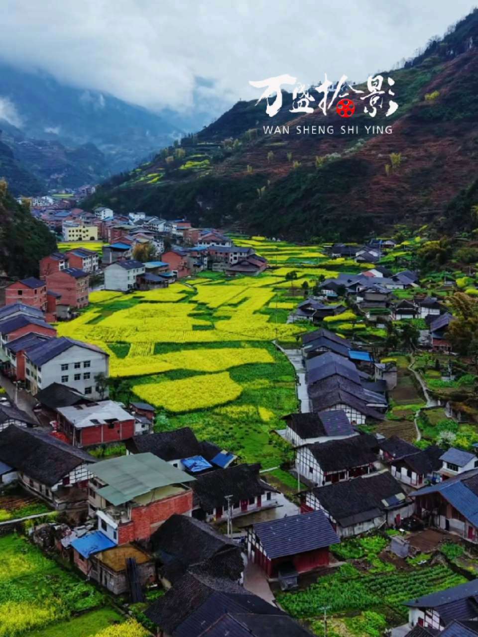 狮溪长丰村、黄坪村油菜花 最美乡村风景 乡愁记忆 油菜花 最美乡村风景 风景如画的地方