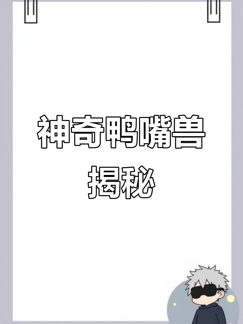 鸭嘴兽:唯一有毒的哺乳动物,如何用毒液保护自己?