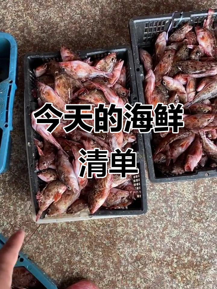 今天的海鲜货品大揭秘,半边鱼、黑雕面和各种奇特小瓜宝