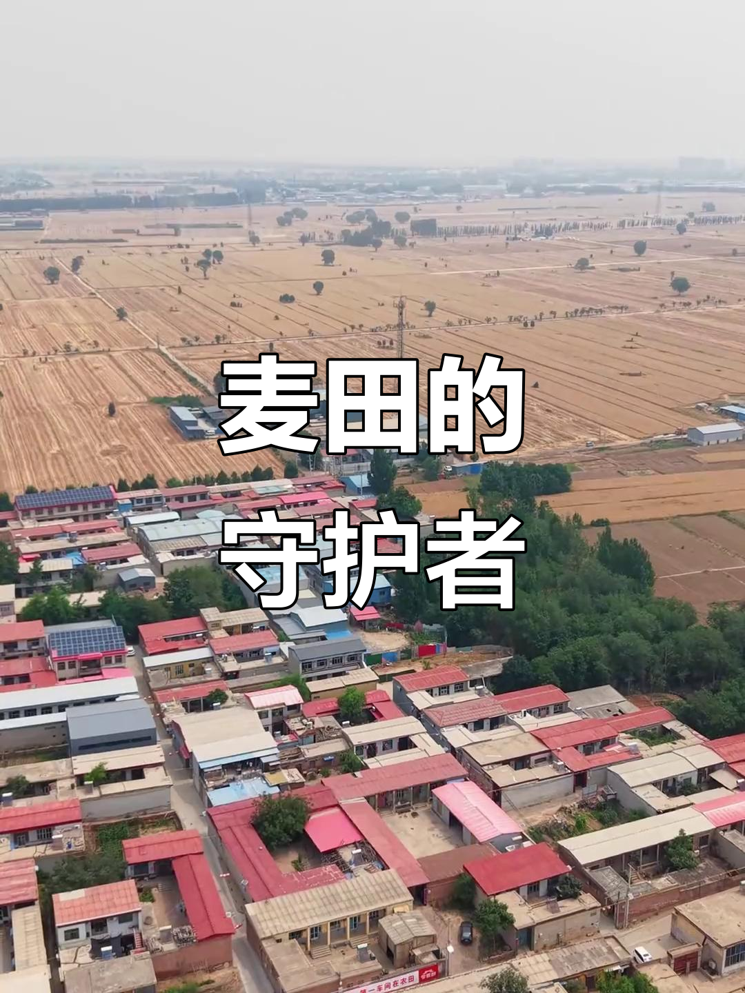 麦田守护者,今麦郎用优质原料打造每一碗美味面条